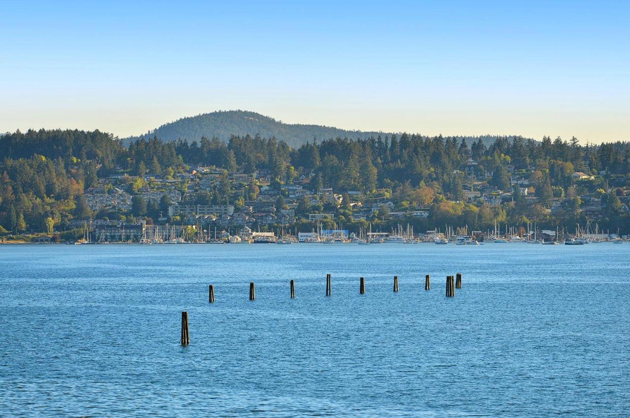 Salishan Tree House Suite Cowichan Bay Εξωτερικό φωτογραφία