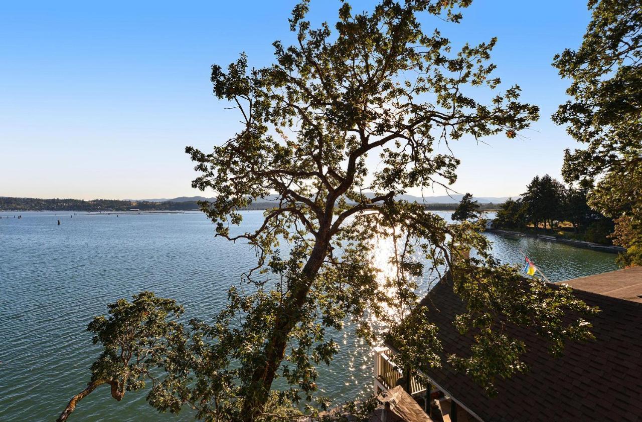 Salishan Tree House Suite Cowichan Bay Εξωτερικό φωτογραφία